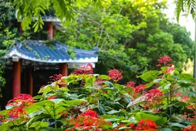 去马峦山郊野公园玩，最全出行攻略来喽图片