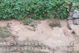山东济宁矿山整治乱象：已关矿山“死而复活”还扩大十几倍，有矿区被通报后突击回填土方……图片