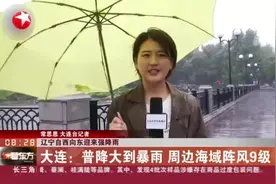 辽宁自西向东迎来强降雨：大连——普降大到暴雨  周边海域阵风9级视频封面