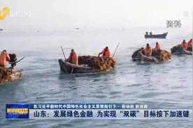 新动能 新突破丨山东：发展绿色金融 为实现“双碳”目标按下“加速键”图片