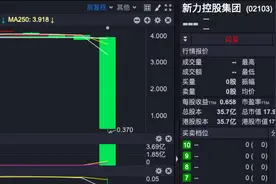 “中秋劫”千亿地产企业新力一天暴跌87% 背后财务数据早有预示图片