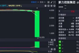 “中秋劫”千亿地产企业新力一天暴跌87% 背后财务数据早有预示图片