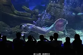 克服下水和被束缚的恐惧，25岁杭漂女孩的中秋节：我在杭州当美人鱼图片