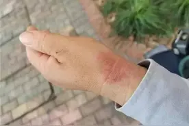 点赞！杭州孕妇路边突遇临产......关键时刻收费员大姐“变身”助产师图片