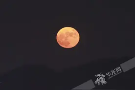 昨晚又大又圆的月亮，你拍到了吗？图片