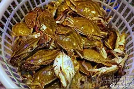 吃蟹正当时！青岛蟹价三天降一半，节后螃蟹更肥美图片