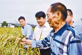 “共和国勋章”获得者袁隆平：良种济世 粮丰民安图片