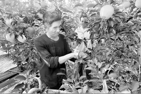 翼城东庄村：丰收节里话丰收图片