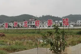 小康圆梦｜以“稻虾”为龙头打造特色农业品牌 四川宜宾兴文县共乐镇产业助推乡村振兴图片
