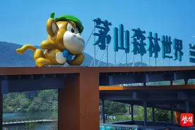 只在此山中，云深不知处！茅山森林世界藏着50头梅花鹿图片