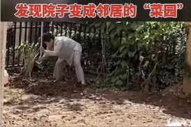 安徽男子几年没回老家，发现自家院子成了邻居的“菜园”，网友分享同款经历图片