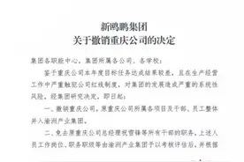 新鸥鹏集团撤销重庆公司 回应：旨在调结构提效率图片