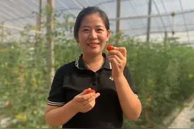 我的丰收年｜玩转短视频直播，寿光有个教种菜的蔬菜小姐姐图片