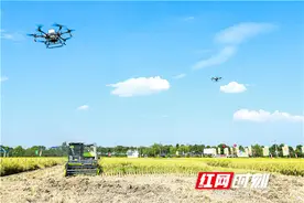 打造从丰收到增收的闭环 隆平高科这样为中国农民庆丰收图片