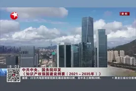 中共中央、国务院印发《知识产权强国建设纲要（2021-2035年）》：2035年 中国特色、世界水平知识产权强国基本建成视频封面