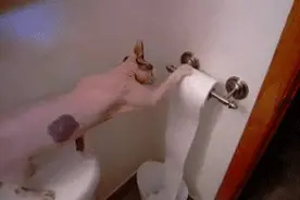 每日一笑，我真的一点都不饿图片