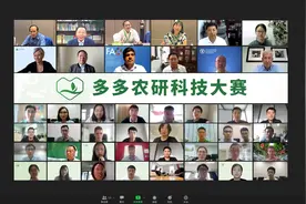 90后农研人田间决战“AI种番茄”图片