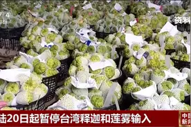 “干啥啥不行，摆烂第一名”图片