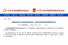 顾峰被“双开”，涉非婚生育一子图片