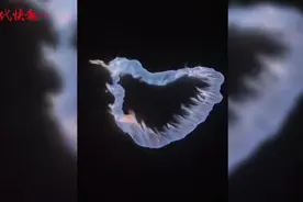 这种蓝色“爱心火焰”，不浪漫还危险图片