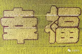 多彩丰收节：庆丰收 感党恩图片