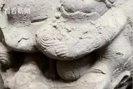 北京中轴线上重大考古发现 正阳桥遗址考古发掘：明代镇水兽出土图片
