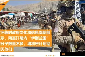 俄媒：阿塔临时政府高层称，计划彻底消灭阿境内极端组织“伊斯兰国”图片