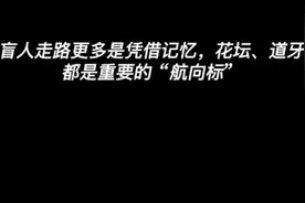 盲人出行路“步步惊心”，助盲软件因何用着不便？图片