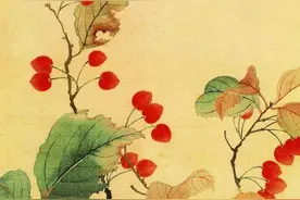 秋花大放送：九月飘香的可不只是金桂图片