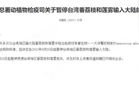 大洋臀纹粉蚧危害究竟多大？图片