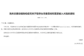 大洋臀纹粉蚧危害究竟多大？图片