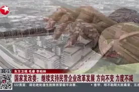 国家发改委：继续支持民营企业改革发展 方向不变 力度不减视频封面