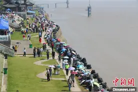 今年钱塘江大潮潮涌近2米 发现新潮景“鱼鳞潮”图片