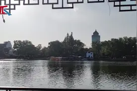 月湖成了小鱼乐园 满湖鱼儿从何处来？记者为您揭秘图片