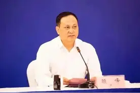 非婚生子的副市长被“双开”图片