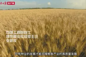 独家专访丨“解密”河南顶级实验室：“神农”重任在肩视频封面