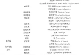 《山海情》里说的菌草究竟是什么？图片