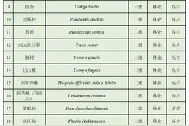 珍贵！临安64种野生植物进入国家名录图片