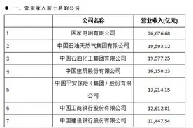 一眼看懂！2021 中国500强企业榜单里的各项前十都有谁图片