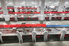 枣庄山亭汇融食品打造全省第二大单体生猪屠宰加工企业图片