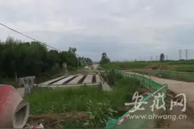 蚌埠一男子醉驾超速掉入水沟致俩幼子身亡 警方认定事故责任图片