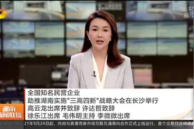 全国知名民营企业助推湖南实施“三高四新”战略大会在长沙举行图片