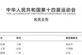 全运会体操女子高低杠比赛 河南选手芦玉菲获得亚军图片