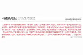 iPad mini被指竖屏有果冻屏问题 或为硬件安装有问题图片
