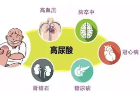尿酸高哪些能吃，哪些不能吃，一篇文章告诉你图片