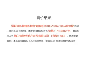 速战速决！今日广州要卖24宗地，已成交6宗收金逾228亿图片