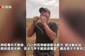 俄罗斯男子表演吞蛇出意外，舌头被毒蛇咬伤后身亡图片