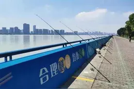 @爱钓鱼的你，杭州这里又免费开放了38个垂钓点图片