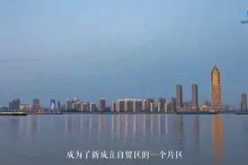 全球连线｜外国人探自贸：3D口罩、宠物用品、电动汽车 这个自贸区包揽你生活所需视频封面