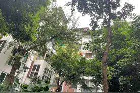 云投诉｜孕妈买房第二天就后悔 小区临近机场饱受噪音干扰 中介：已实地带看两次 不吵图片
